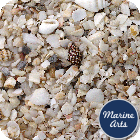 Coquina Beach Gravel